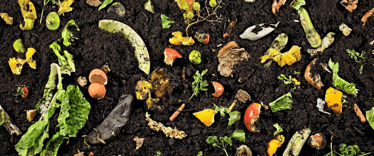 Prepper Compost Basics How What To