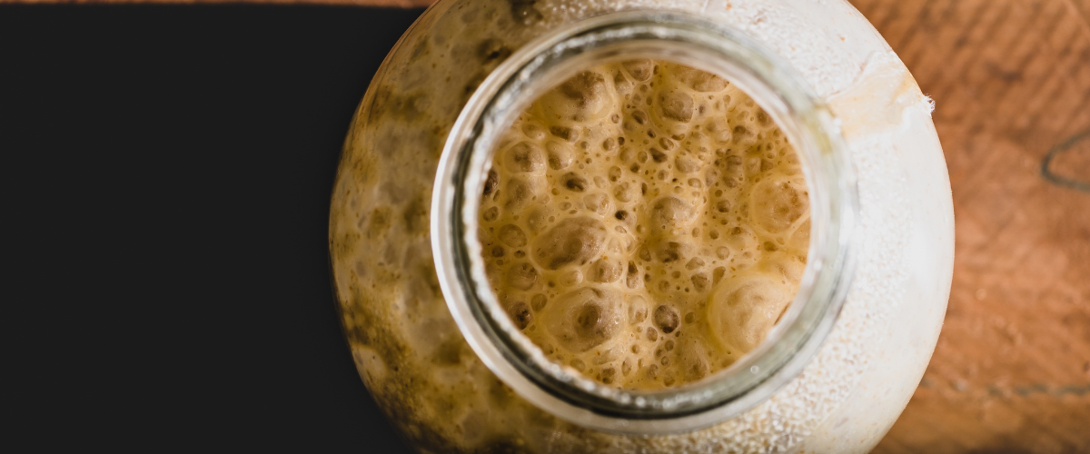 how to sourdough starter bread make yeast living wild