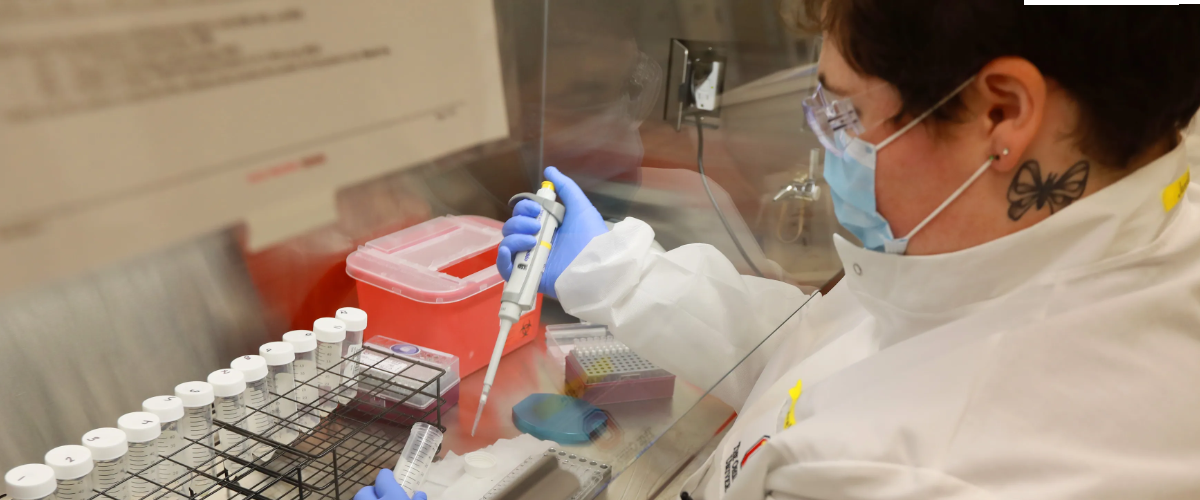 CDC PCR Test Covid genome sequence DNA