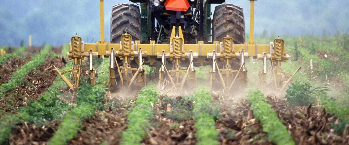russia sanctions farmers fertilizer prices grain Ukraine